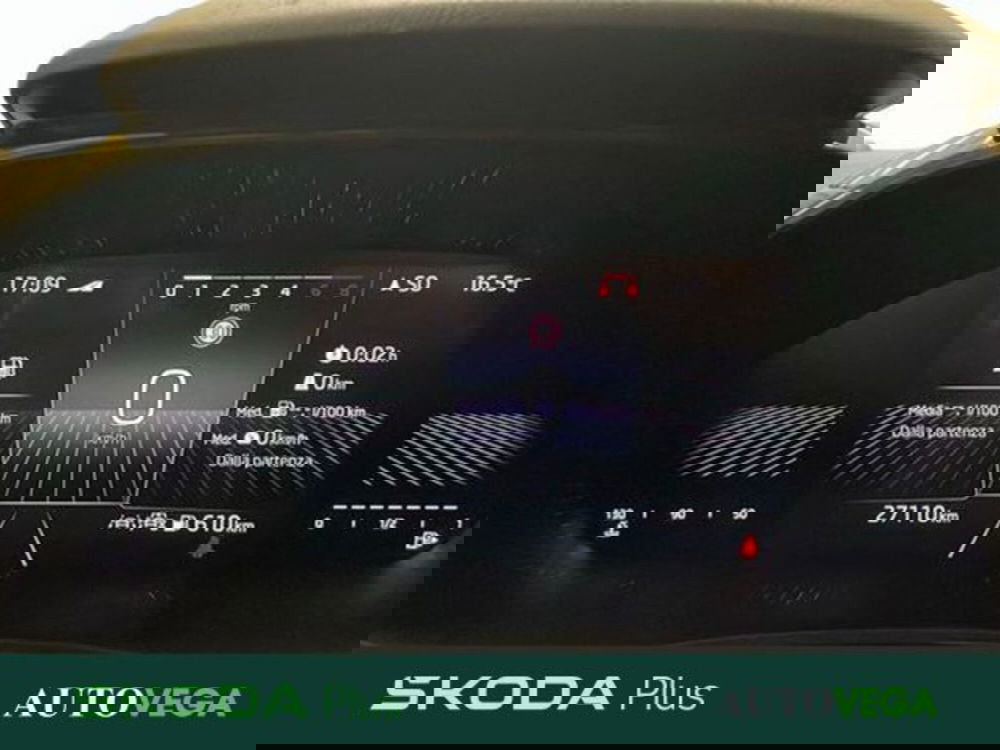 Skoda Fabia usata a Vicenza (14)