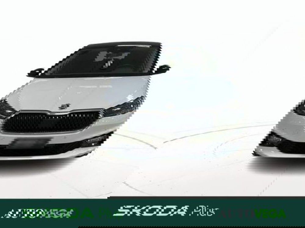 Skoda Fabia usata a Vicenza (2)