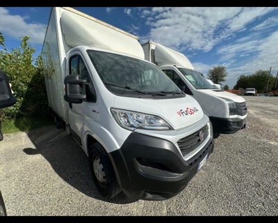 Fiat Ducato Telaio cabinato 35 2.3 MJT 130CV PLM Cabinato Maxi del 2018 usata a Castenaso