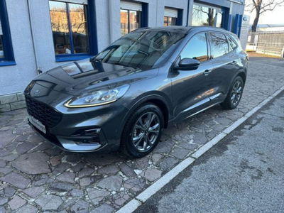 Ford Kuga 2.5 Full Hybrid 190 CV CVT 2WD ST-Line X del 2020 usata a Lodi