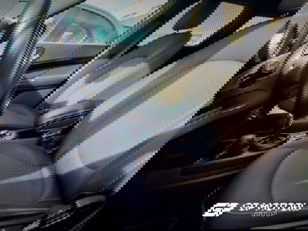 MINI Mini Countryman usata a Caserta (13)