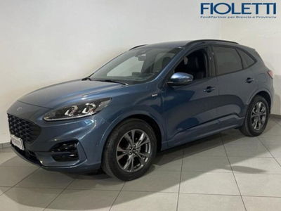 Ford Kuga 2.5 Full Hybrid 190 CV CVT 2WD ST-Line X del 2023 usata a Concesio