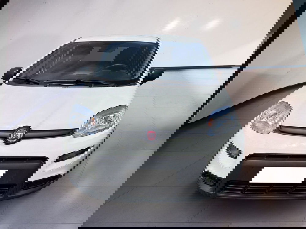 Fiat Panda Cross usata a Torino