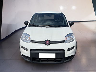 Fiat Panda Cross Cross 1.0 FireFly S&amp;S Hybrid del 2024 usata a Torino