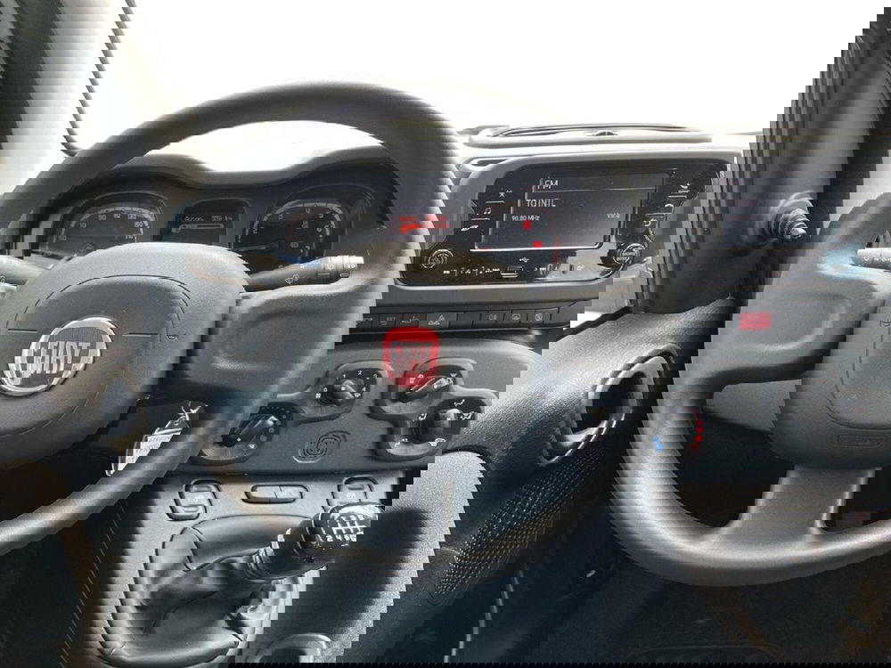 Fiat Panda Cross usata a Torino (11)