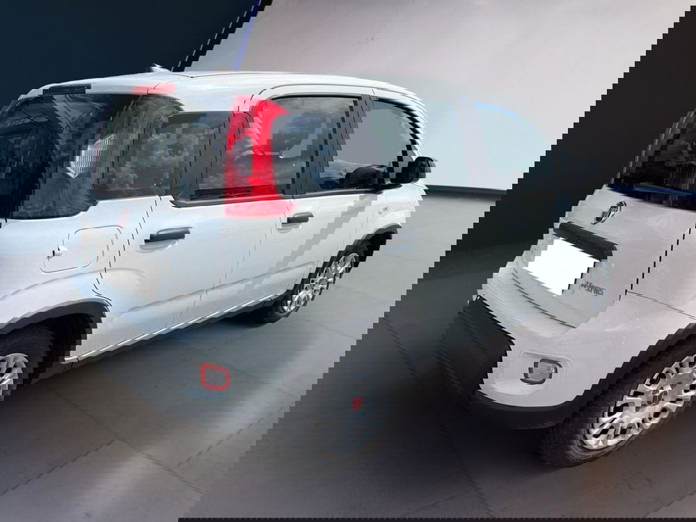 Fiat Panda Cross usata a Torino (4)