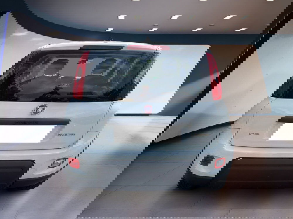 Fiat Panda Cross usata a Torino (6)