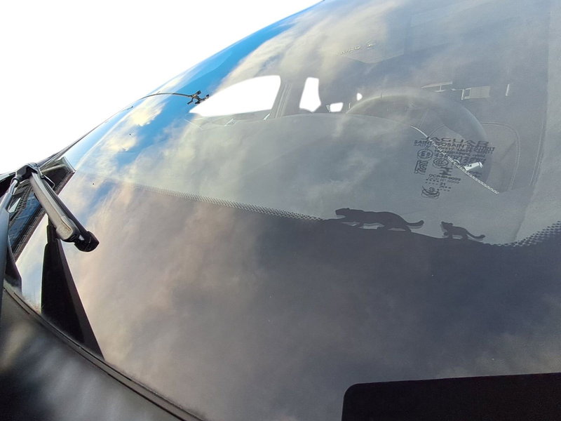 Jaguar E-Pace usata a Messina (12)