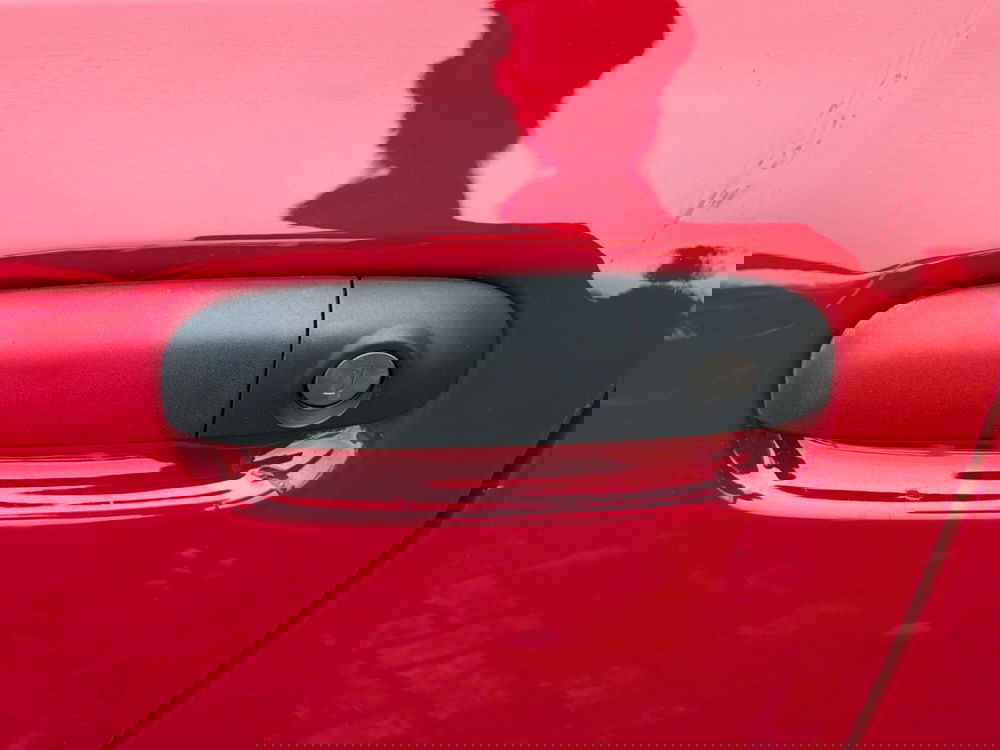 Fiat Panda Cross usata a Parma (17)