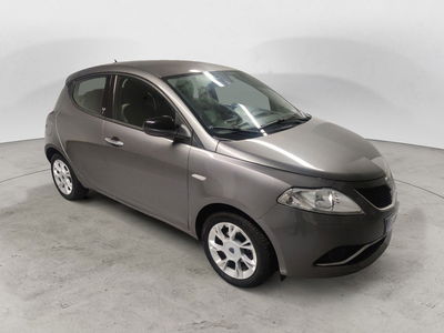 Lancia Ypsilon 1.2 69 CV 5 porte Silver del 2016 usata a Arezzo