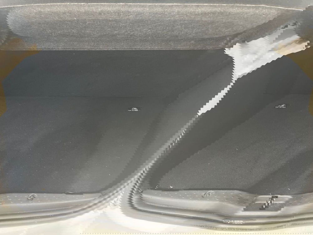 smart forfour usata a Napoli (10)