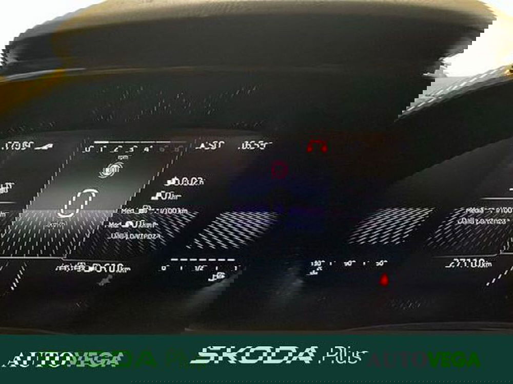 Skoda Fabia usata a Vicenza (14)