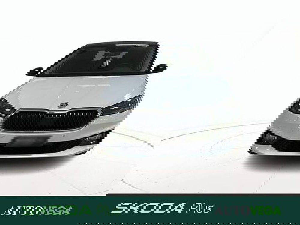 Skoda Fabia usata a Vicenza (2)