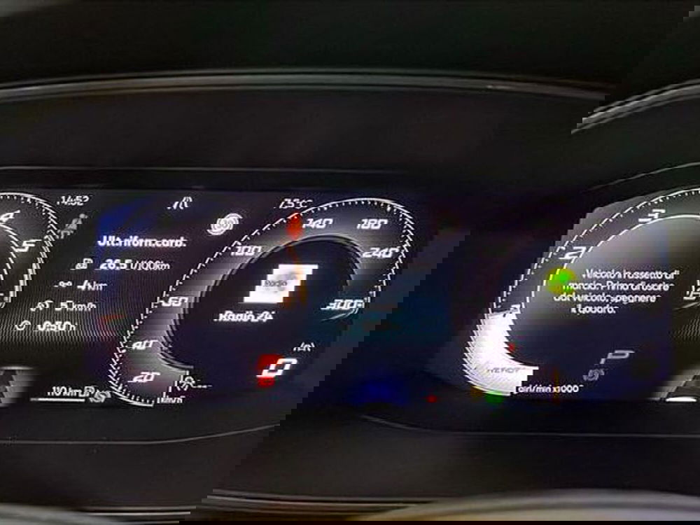 Cupra Formentor usata a Vicenza (16)