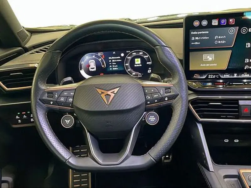 Cupra Formentor usata a Vicenza (9)