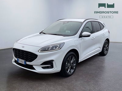 Ford Kuga 2.5 Plug In Hybrid 225 CV CVT 2WD ST-Line X del 2023 usata a Milano