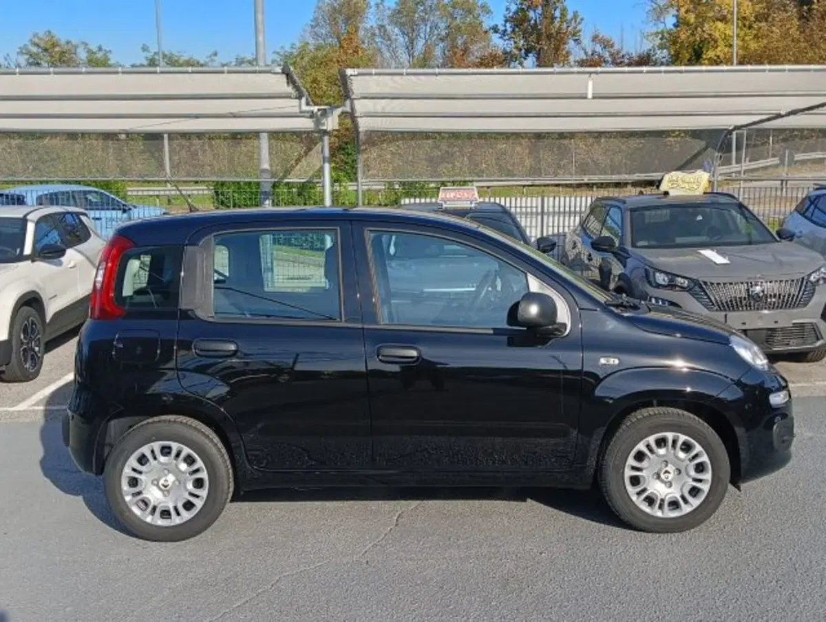 Fiat Panda nuova a Brescia (4)