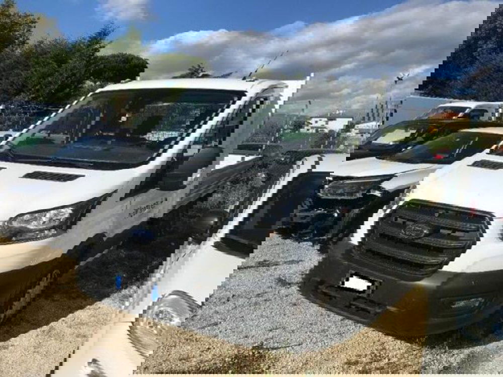 Ford Transit usata a Pisa