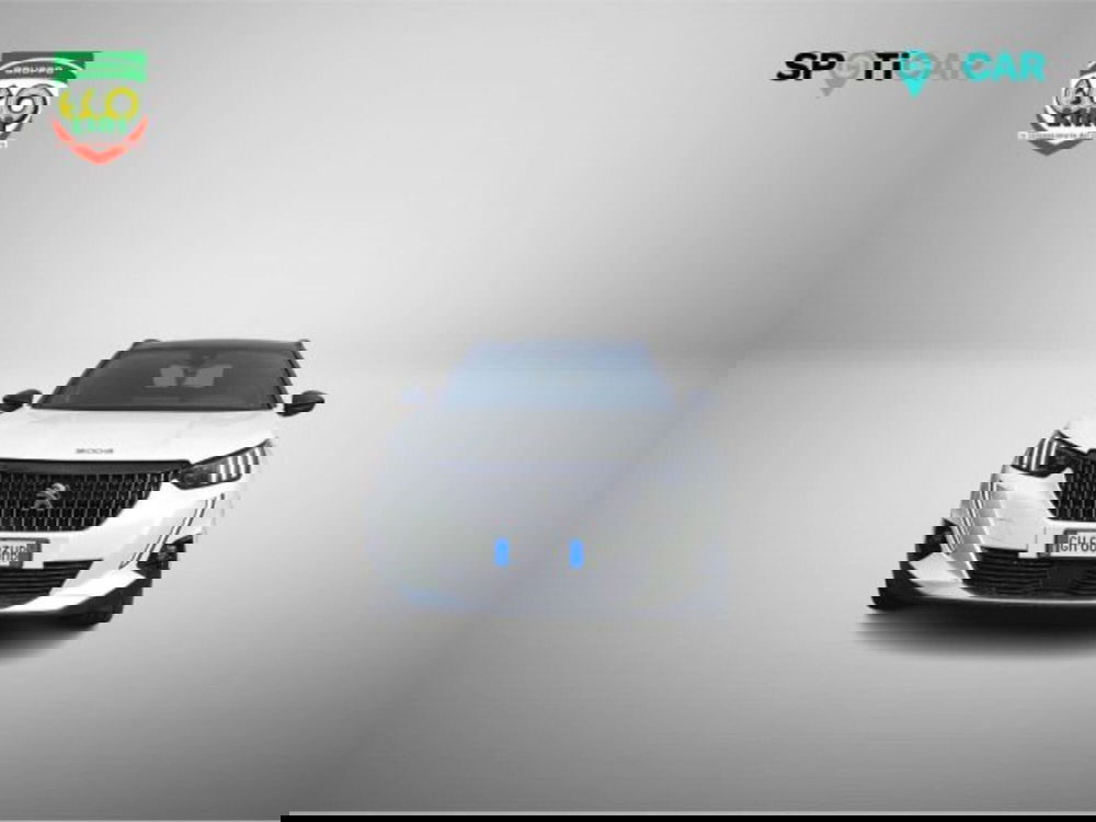 Peugeot 2008 usata a Frosinone (2)