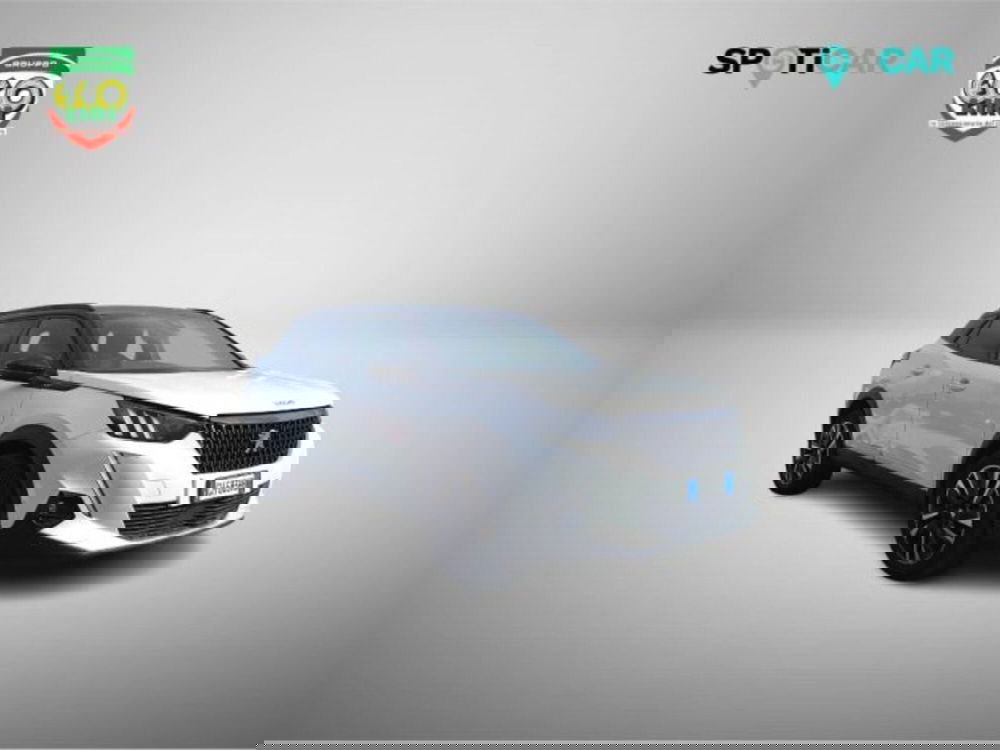 Peugeot 2008 usata a Frosinone (3)