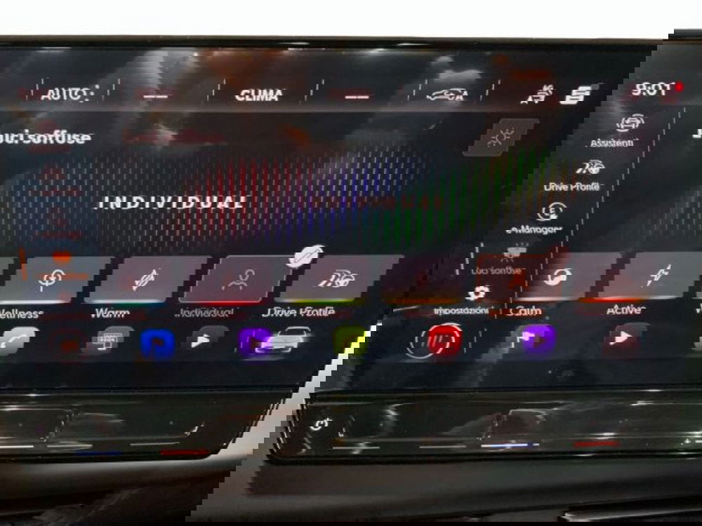 Cupra Born usata a Vicenza (15)