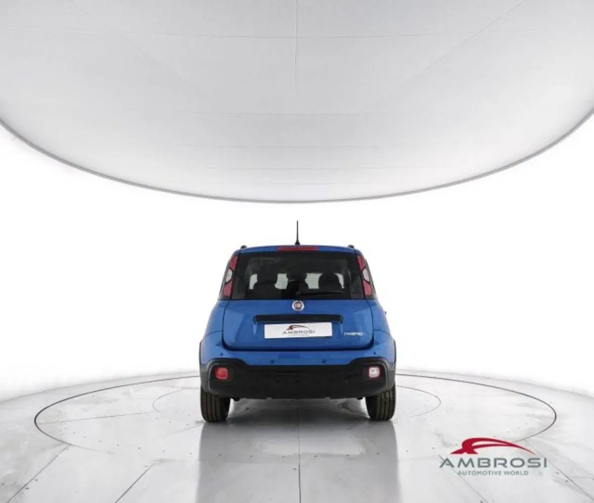 Fiat Panda Cross usata a Perugia (4)