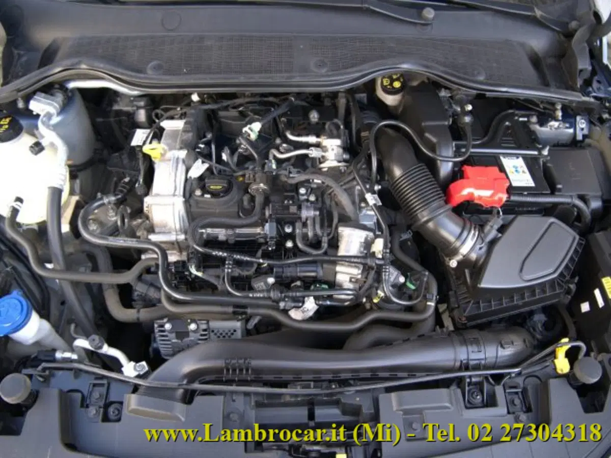Ford Fiesta usata a Milano (13)