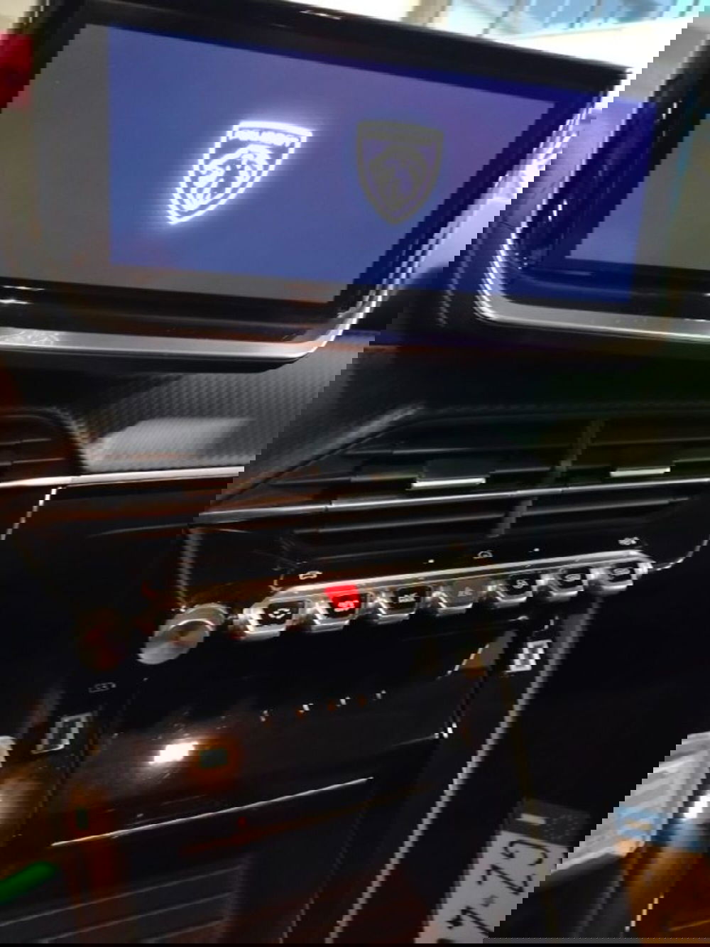 Peugeot 208 usata a Forlì-Cesena (15)