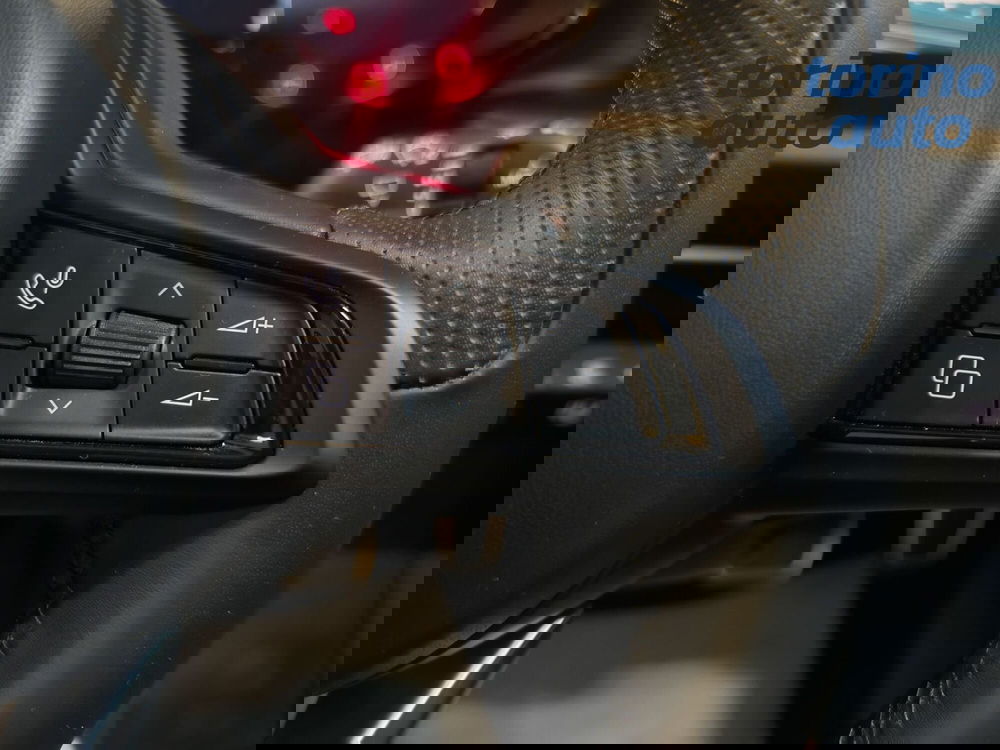 Alfa Romeo Tonale usata a Torino (13)