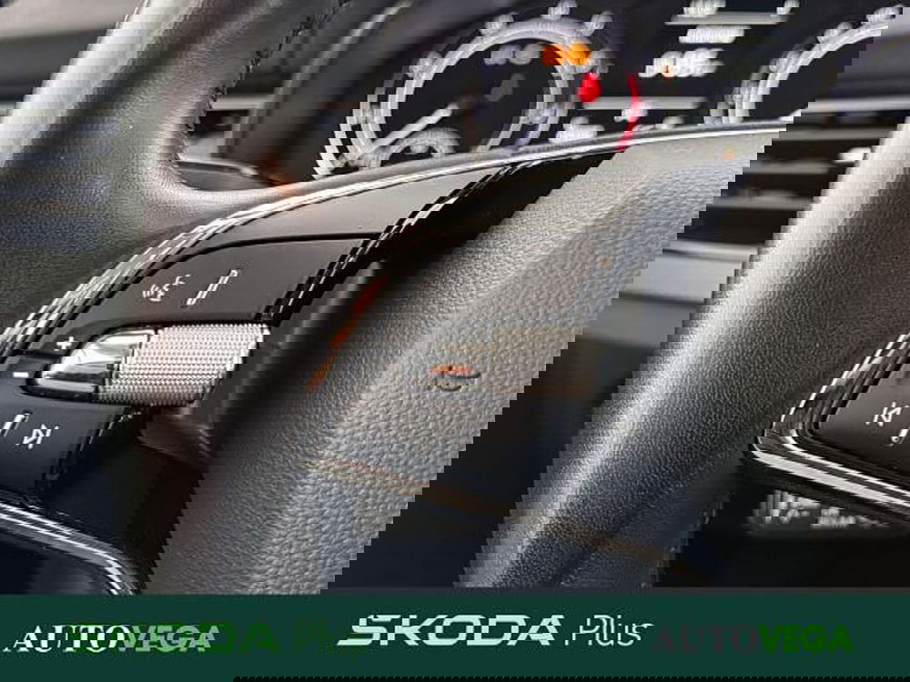 Skoda Kamiq usata a Vicenza (18)