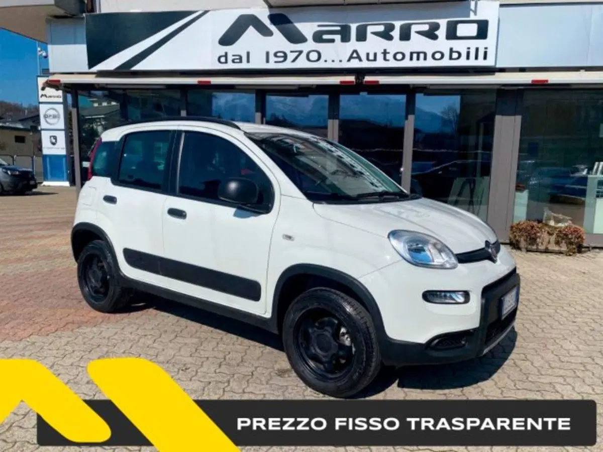 Fiat Panda usata a Cuneo