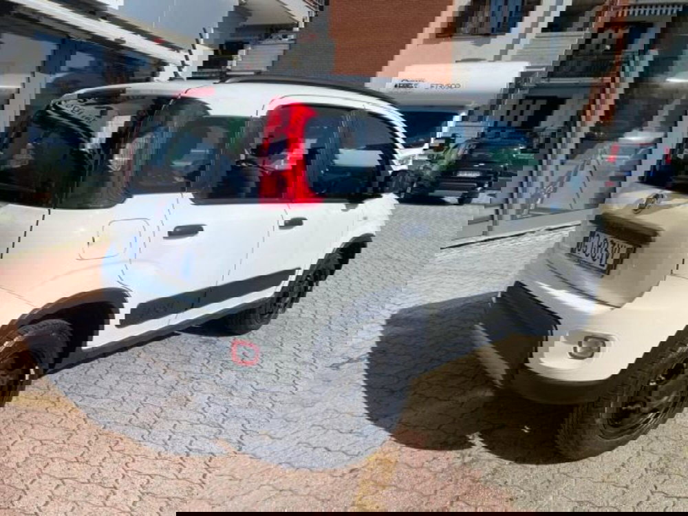 Fiat Panda usata a Cuneo (3)