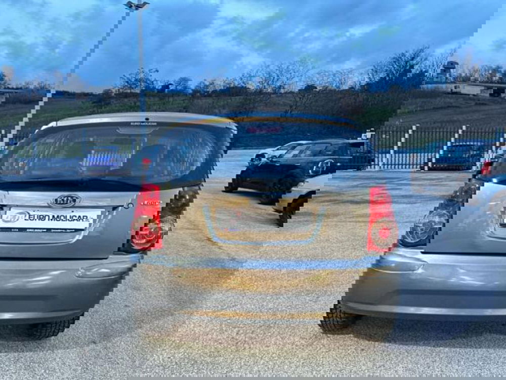 Kia Picanto usata a Campobasso (5)