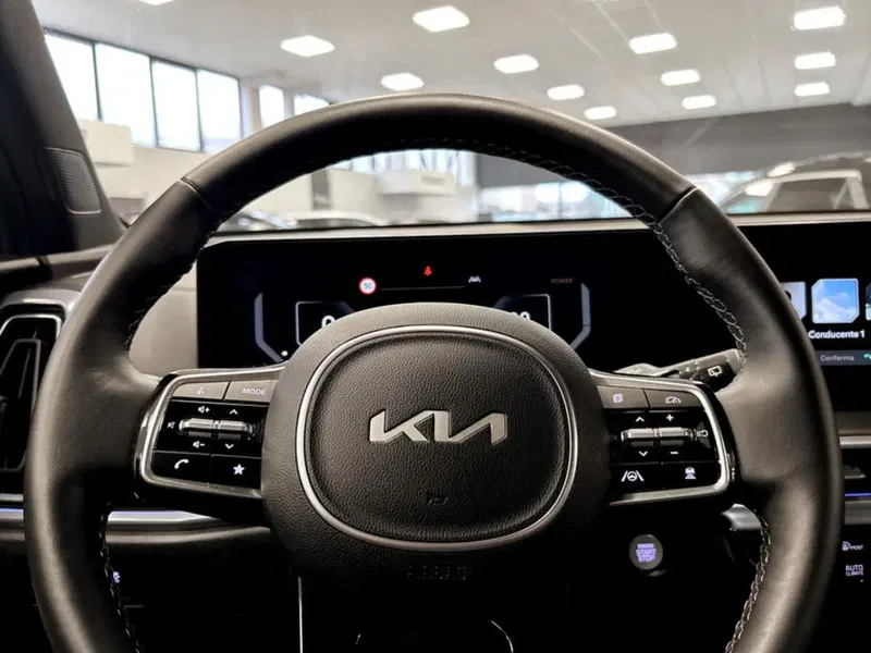 Kia Sorento usata a Piacenza (12)