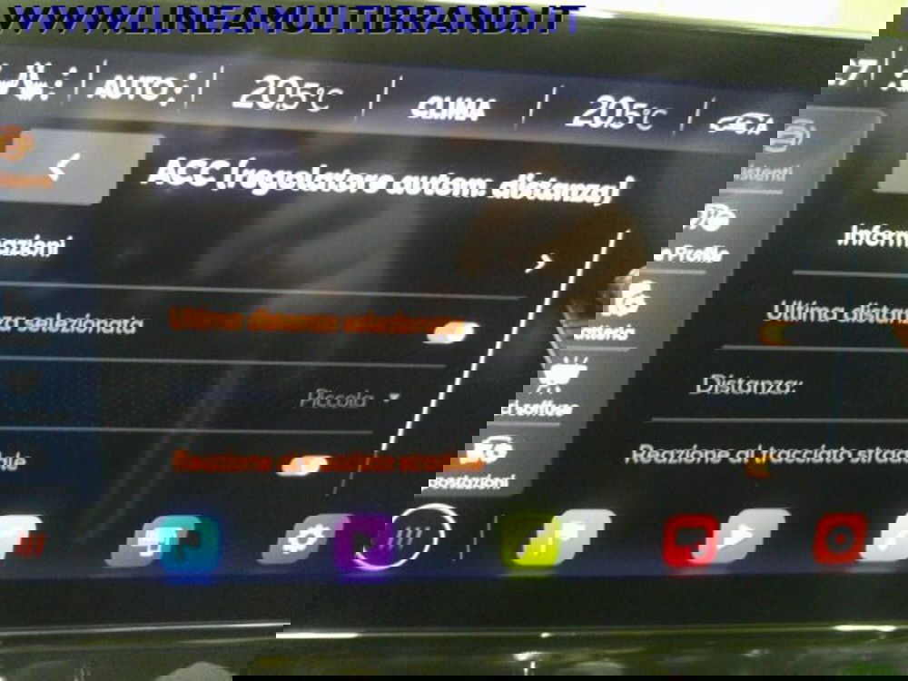Cupra Formentor usata a Piacenza (13)