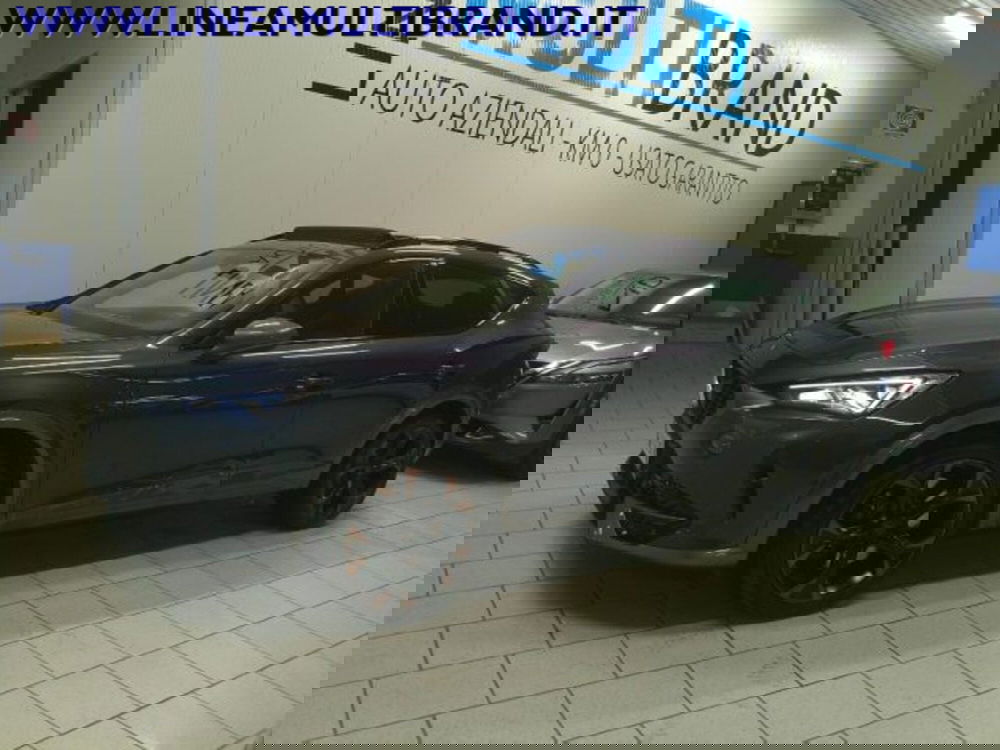 Cupra Formentor usata a Piacenza (2)