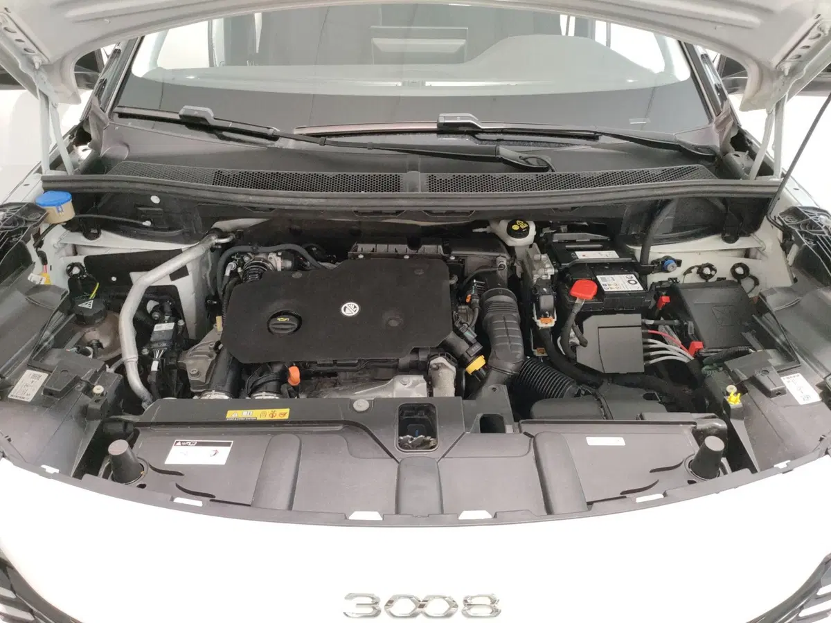 Peugeot 3008 usata a L'Aquila (10)