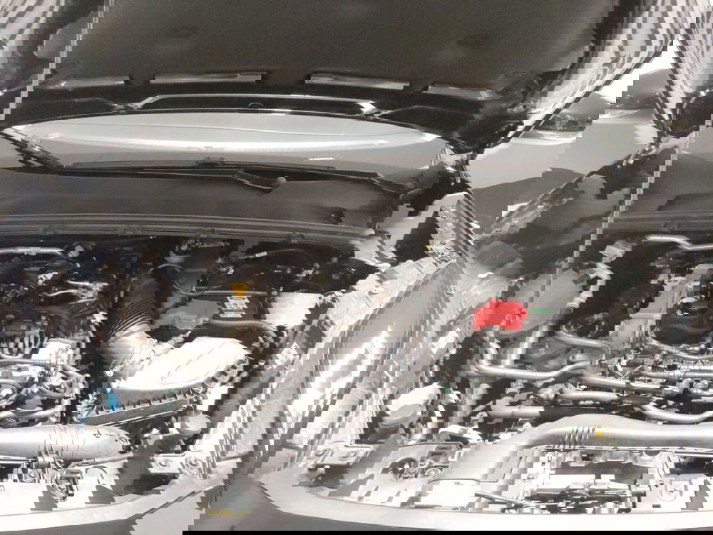 Ford Puma usata a L'Aquila (10)