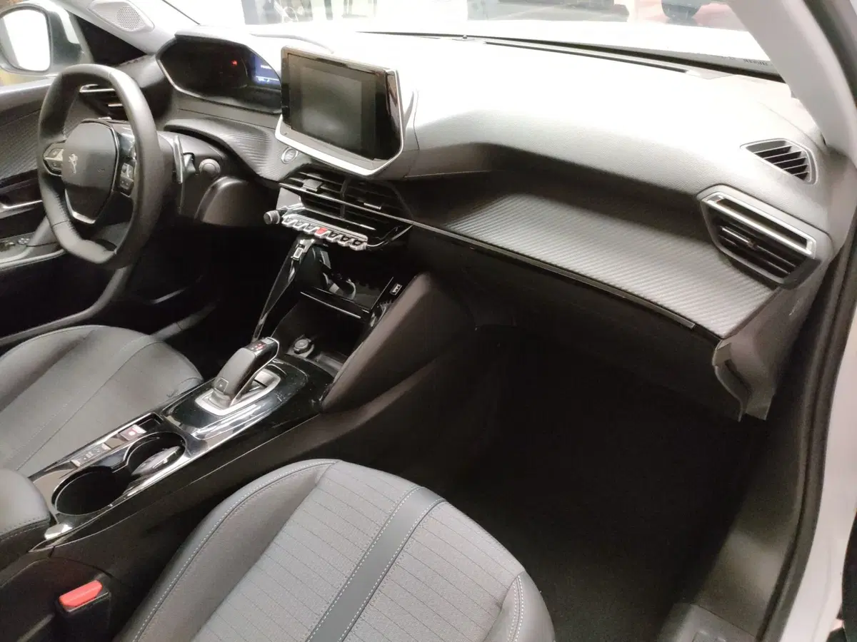 Peugeot 2008 usata a Teramo (12)