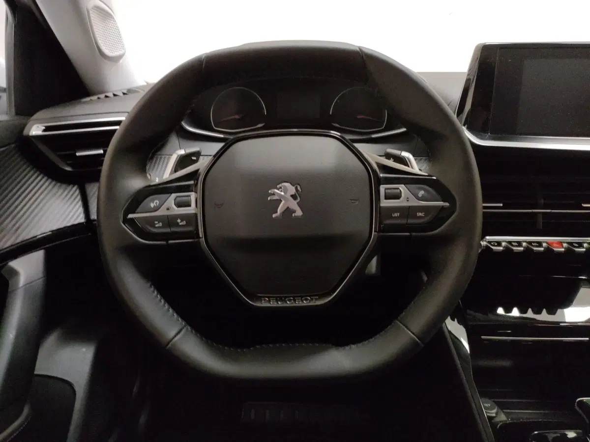 Peugeot 2008 usata a Teramo (17)