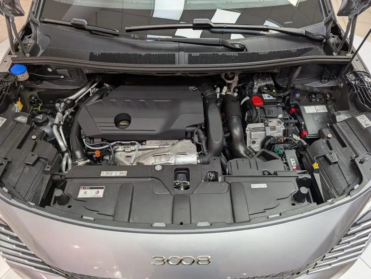 Peugeot 3008 usata a Teramo (10)