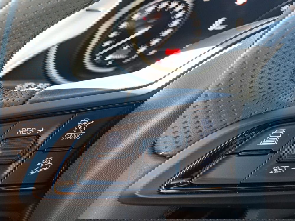 Alfa Romeo Stelvio usata a Alessandria (16)