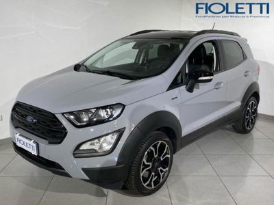 Ford EcoSport 1.0 EcoBoost 125 CV Start&amp;Stop Active del 2022 usata a Concesio