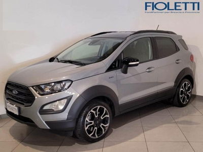 Ford EcoSport 1.0 EcoBoost 125 CV Start&amp;Stop Active del 2022 usata a Brescia