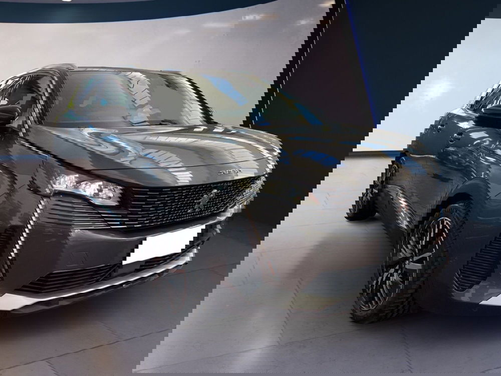 Peugeot 3008 usata a Torino (2)