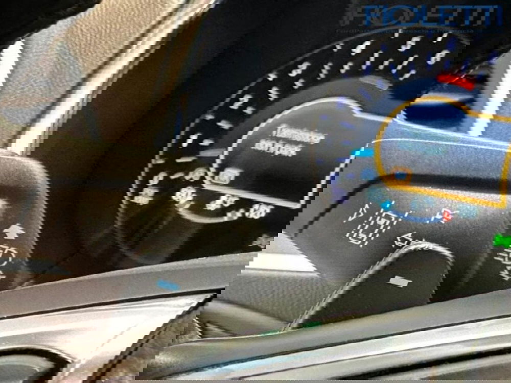 Ford Edge usata a Brescia (15)