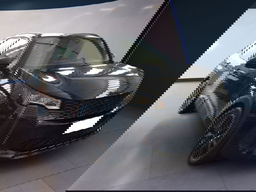 Peugeot 3008 usata a Torino (2)