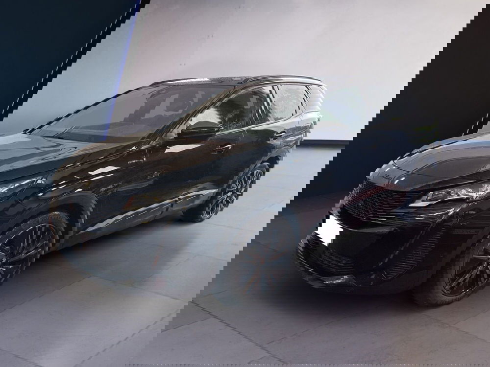 Peugeot 3008 usata a Torino (3)