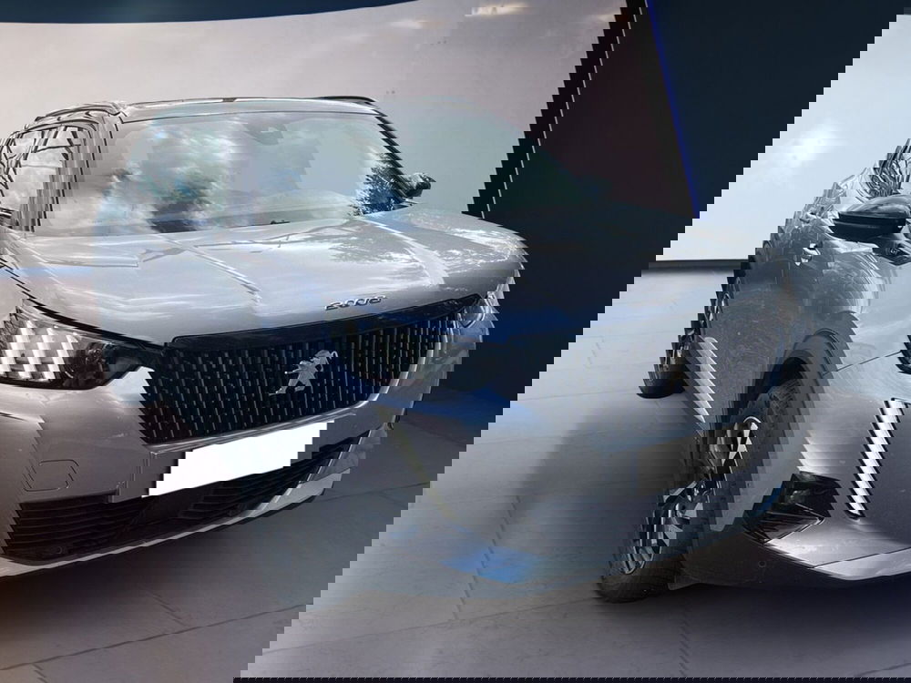 Peugeot 2008 usata a Torino (2)