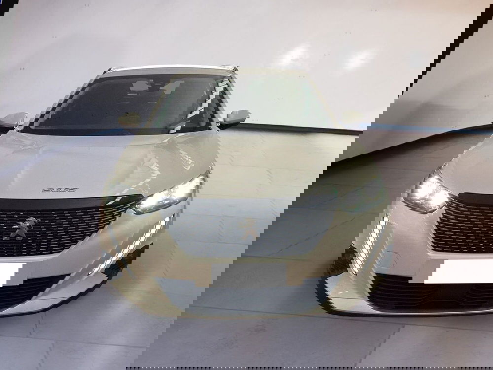 Peugeot 2008 usata a Torino (13)